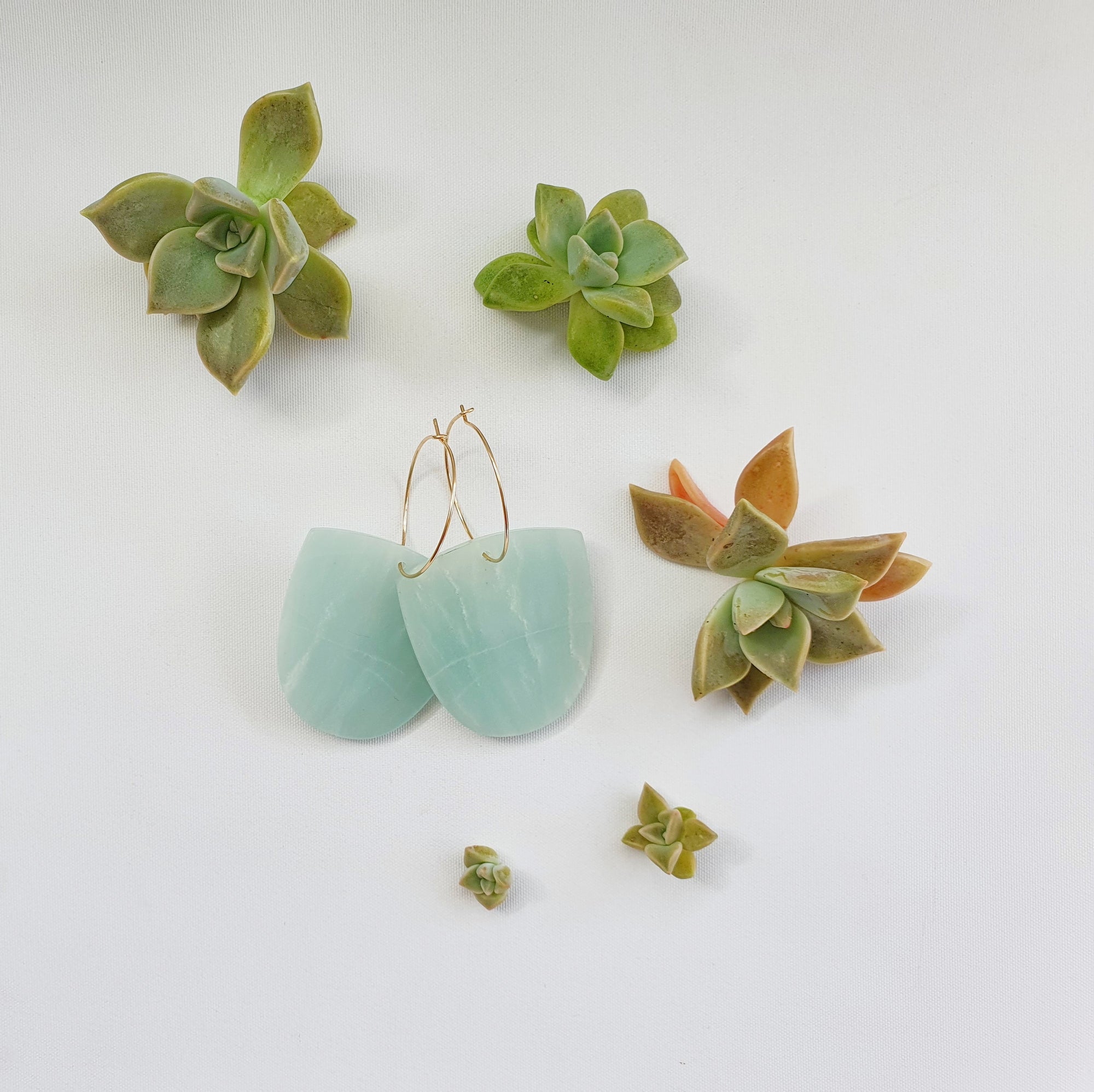 NEWS- Limited Edition Amazonite Earrings Are Here!
