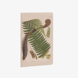 Notebook Set - Botanical Illustration