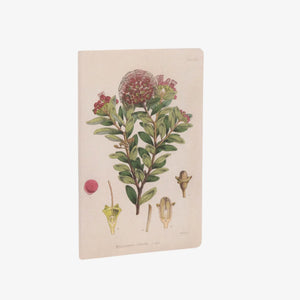 Notebook Set - Botanical Illustration