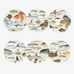 Placemat Set - Fishes of NZ - 100%NZ