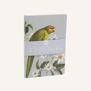 Notebook Set - Birds & Botanicals