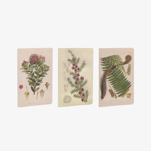 Notebook Set - Botanical Illustration