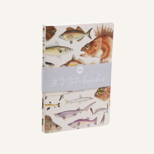 Notebook Set - Fishes