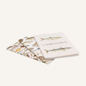 Notebook Set - Fishes