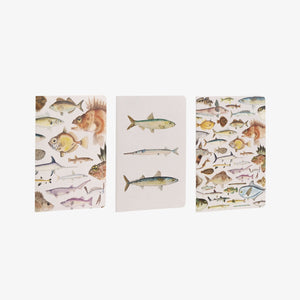 Notebook Set - Fishes