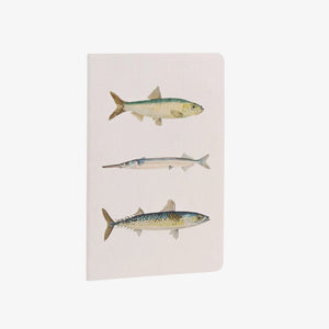 Notebook Set - Fishes