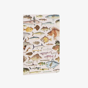 Notebook Set - Fishes