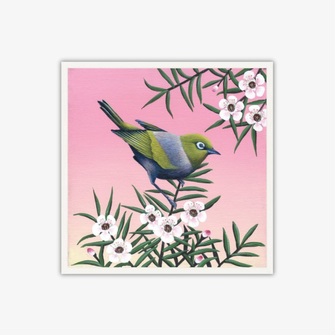 Waxeye on Manuka Blockmount Print