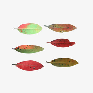 Aluminium Pōhutukawa Leaves - Set of 6