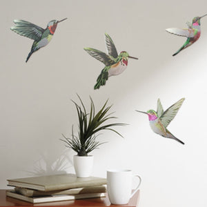 Printed Aluminium Set - Hummingbird