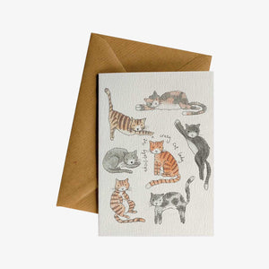 Crazy Cats Greeting Card