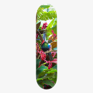 SKATE DECK- Lucy G Tropical NZ Tui