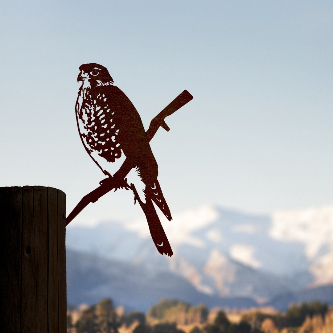 Metal Bird - Kārearea, NZ Falcon