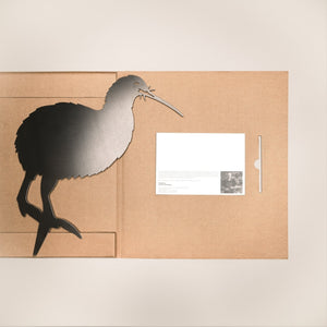 Metal Bird - Brown Kiwi