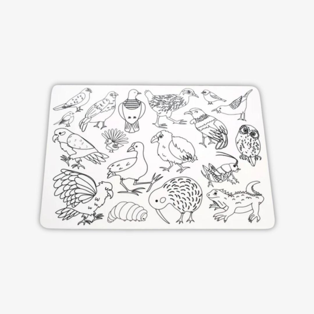 Kids Placemats - Colour In, 2 Pack