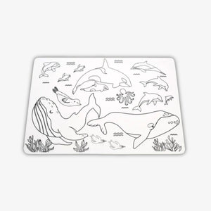 Kids Placemats - Colour In, 2 Pack