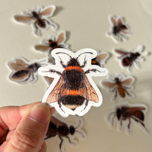 Stickers, Pack of 10 - Bees