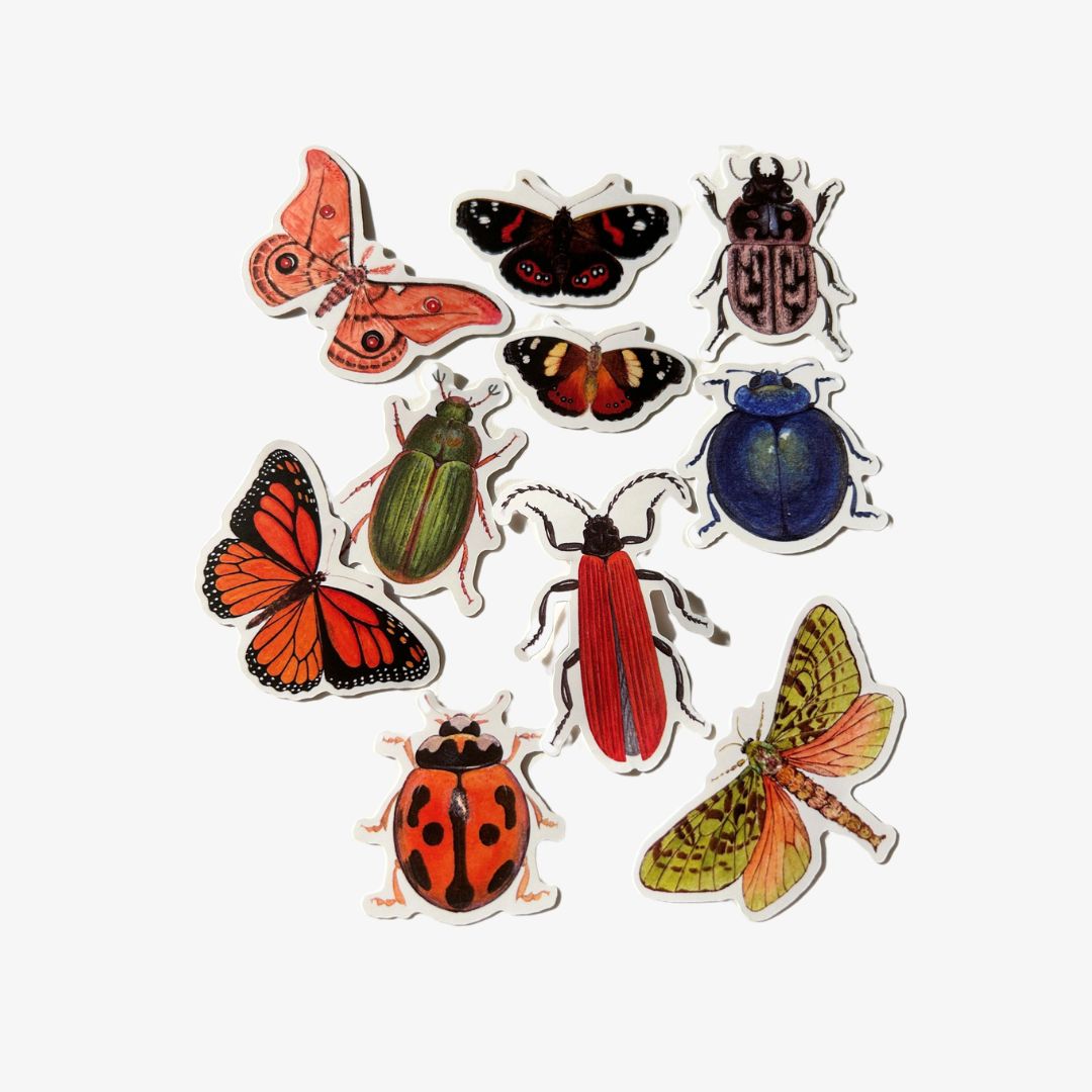 Stickers, Pack of 10 - Insects