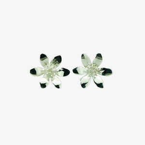 Clematis Studs - Medium