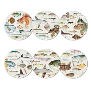 Placemat Set - Fishes of NZ - 100%NZ