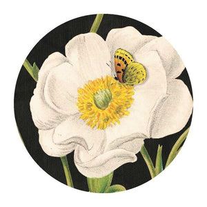 Mt Cook Lily Compact Mirror