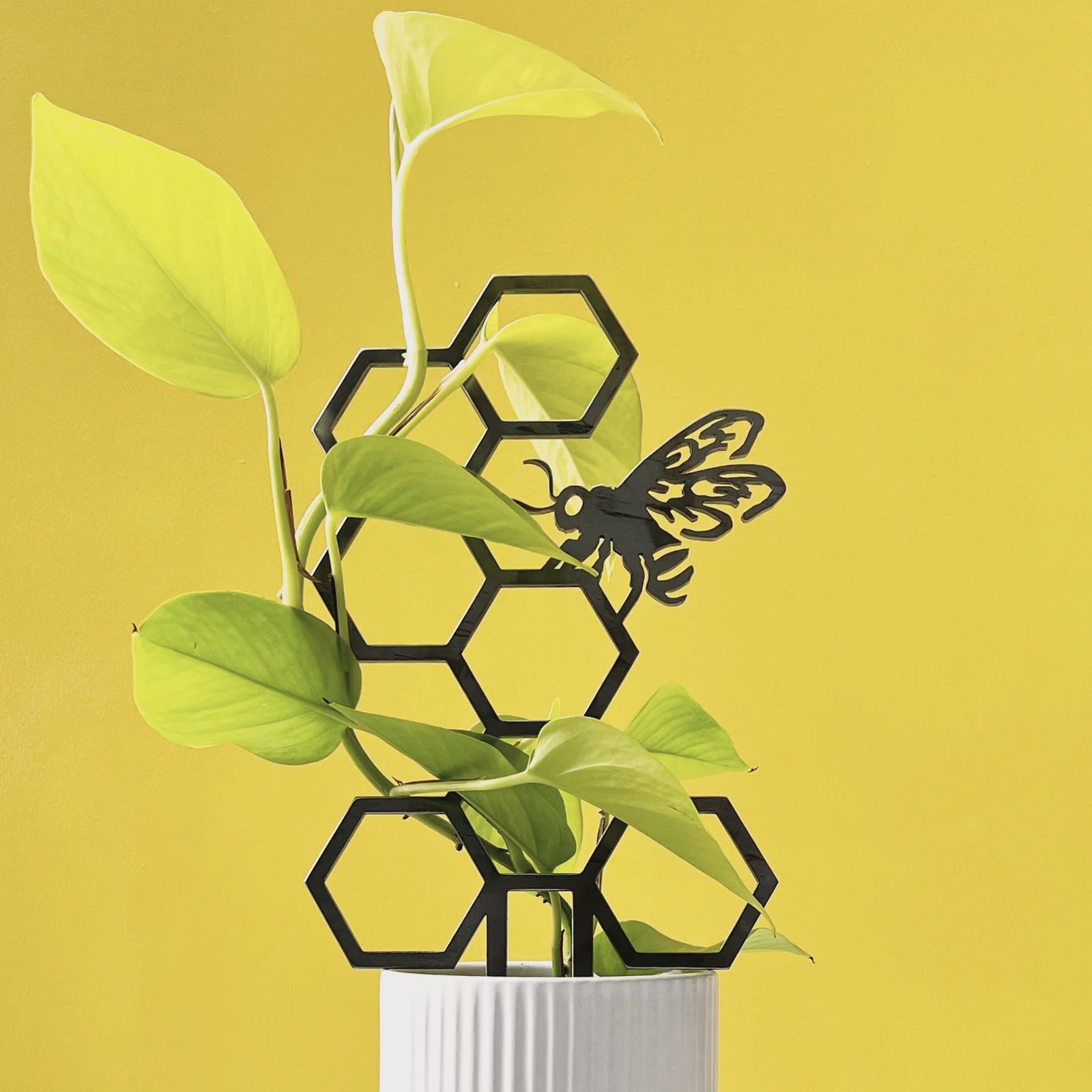 Plant Trellis - Honeybee