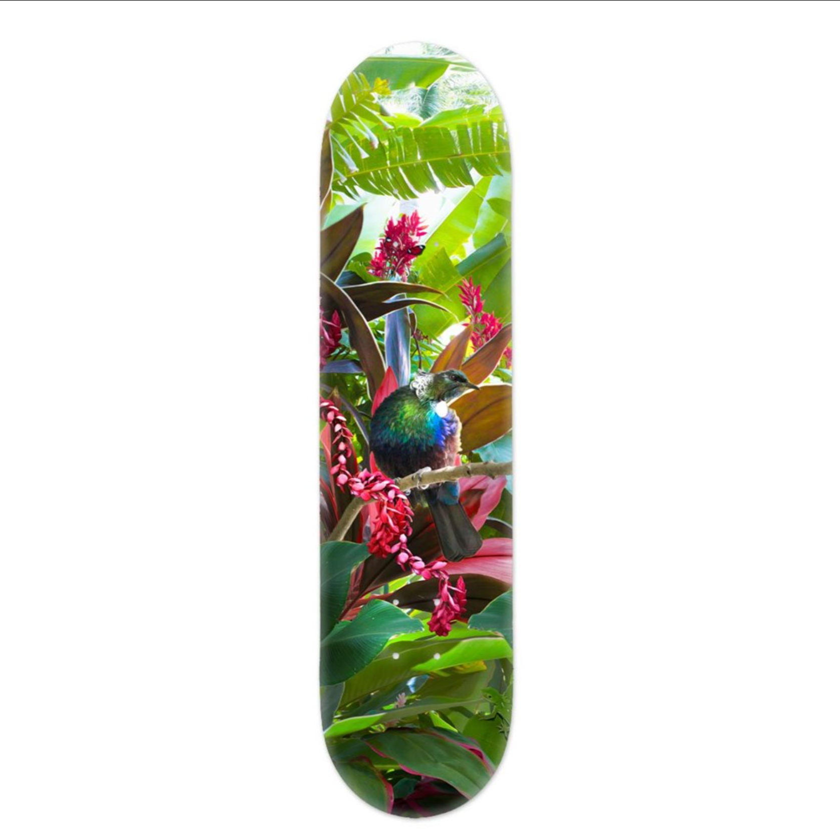 Skate Deck - Hope (Tui), Lucy G