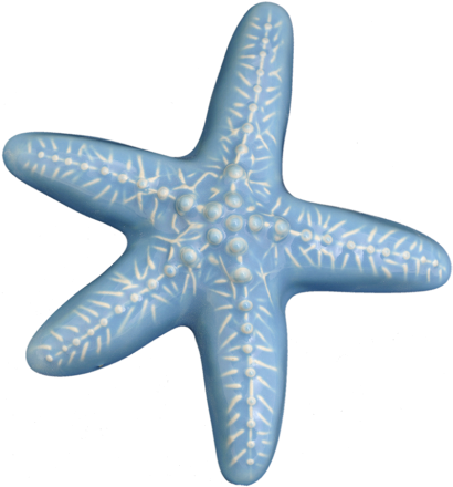Starfish Wall Orn - Aqua Blue
