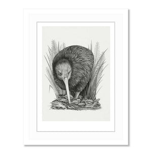 "Kiwi" A4 Framed Print - Tara Cassidy