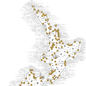 The Classic NZ Scratch Map - A2