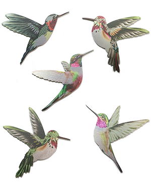 PRINTED ALUMINIUM- Hummingbird Set